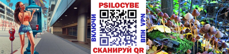 Псилоцибиновые грибы Psilocybine cubensis  как найти   Артёмовский 
